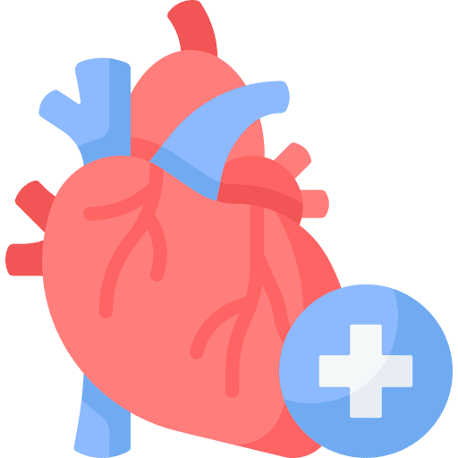 Cardiology 