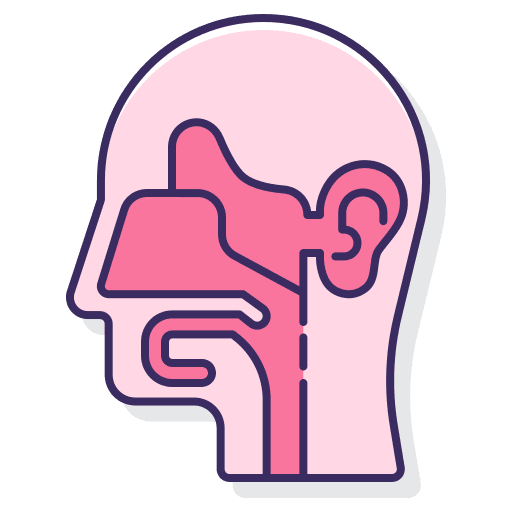 Ear nose and throat (ENT)